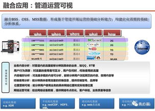 數(shù)據(jù)驅(qū)動，智領未來 服務型集團公司大數(shù)據(jù)應用解決方案
